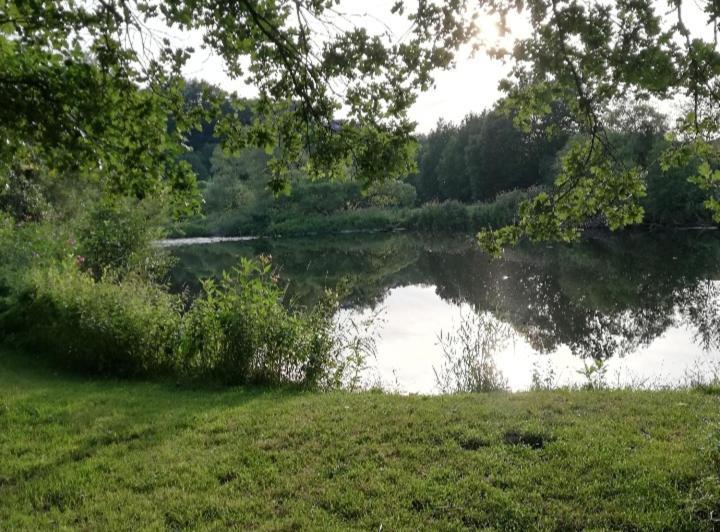 Schulzis Ferienwohnung Windeck Esterno foto